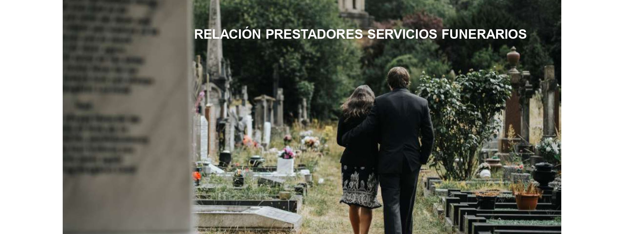 Prestadores servicios