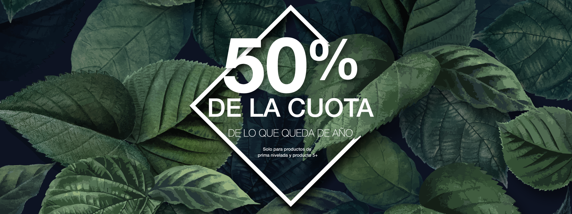 50% Promo Seguimos Sumando